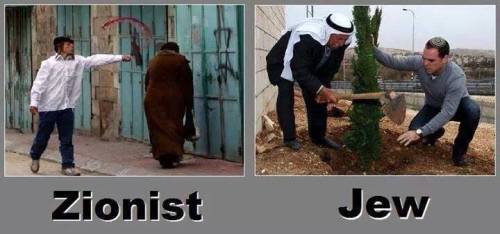 zionist jew what differences
